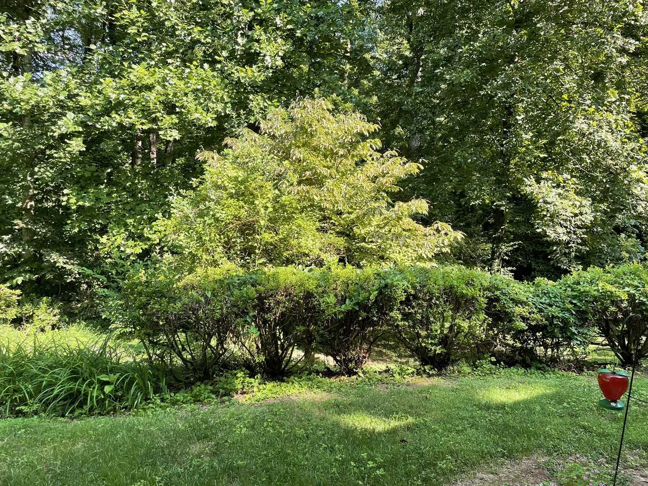 2056 Eaker Dr #C - Photo 4 of 18