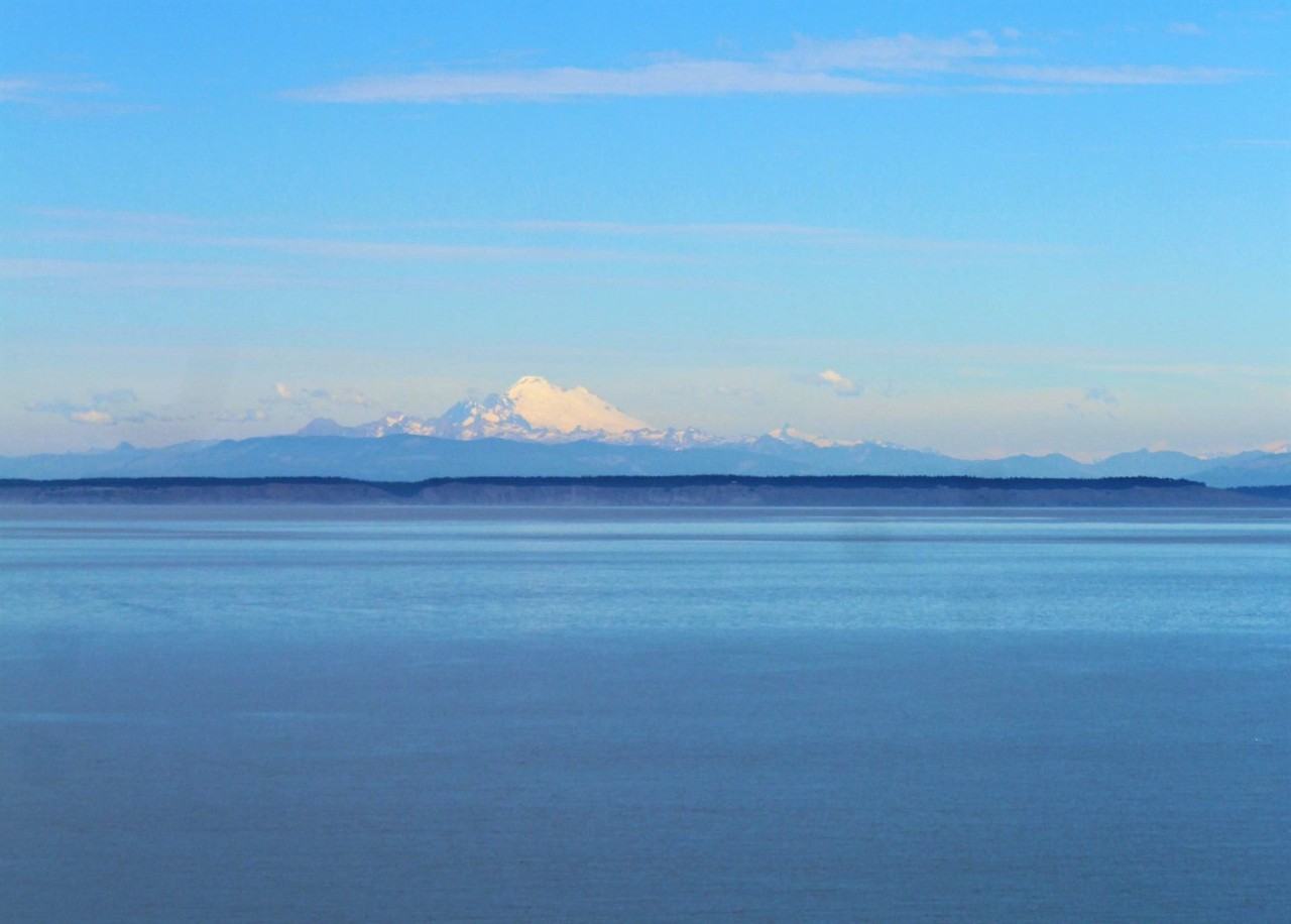 301 Spring View Pl #NA - Photo 2 of 20