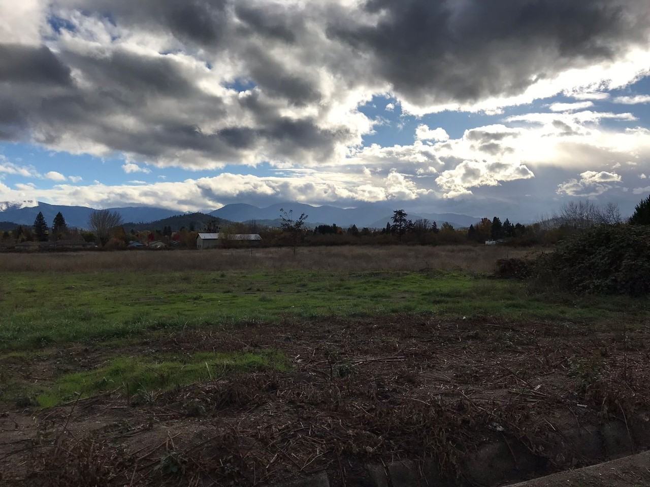 2133 Upper River Rd - Photo 7 of 10