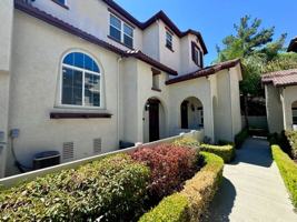 featured image of 33620 Willow Haven Ln #105