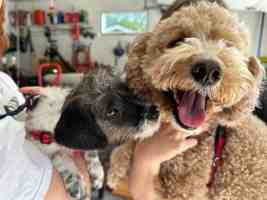 featured image of 405 S Hine Ave