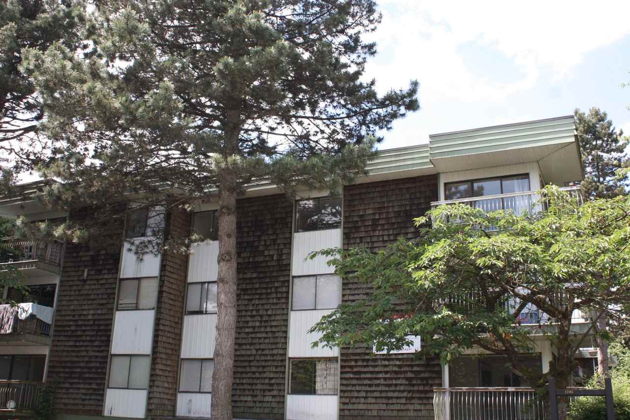 11895 Laity Street - Photo 5 of 18