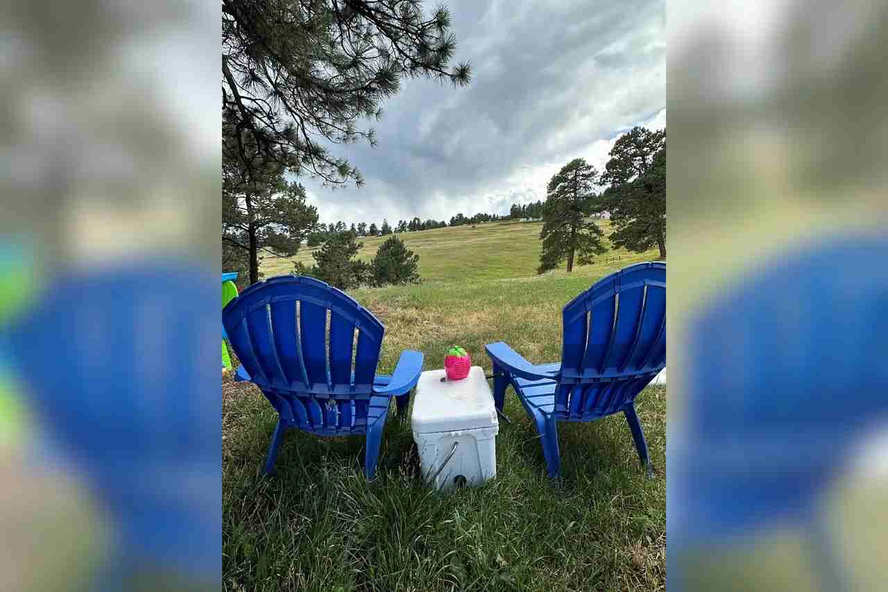 24688 Giant Gulch Road Evergreen CO 80439 - Photo 2 of 10