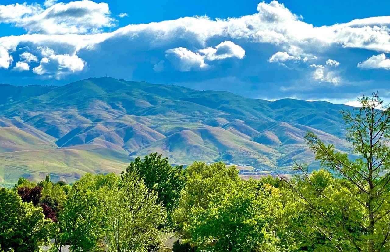 1258 East Echelon Ridge Lane - Photo 3 of 49