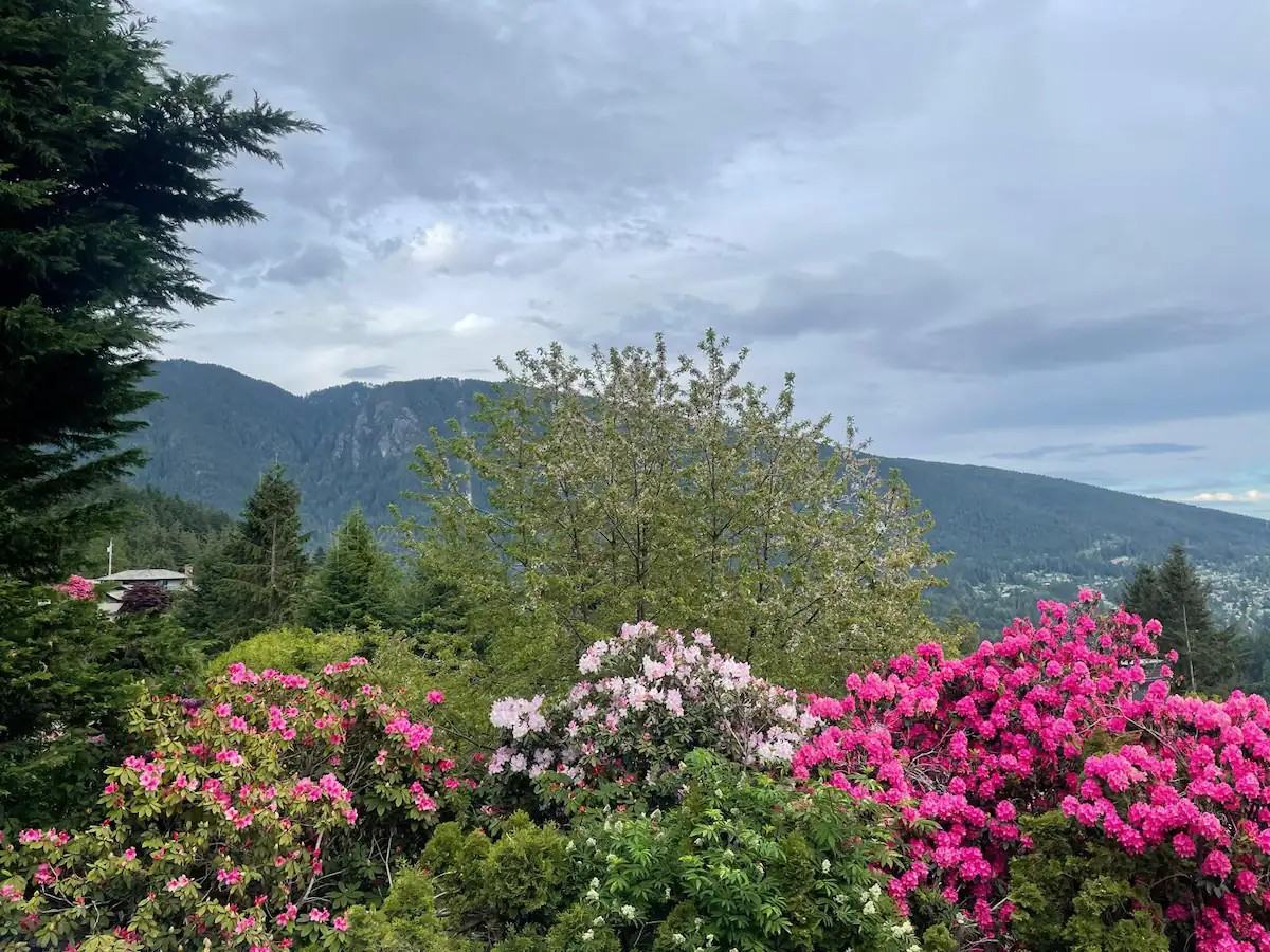 545 Ballantree Road - Photo 5 of 20