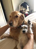 featured image of 547A E Dover St