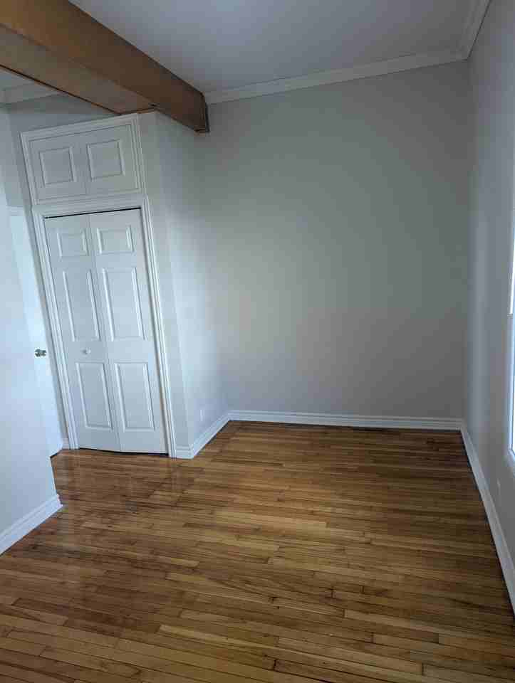 338 Nepean Street #3 - Photo 3 of 6