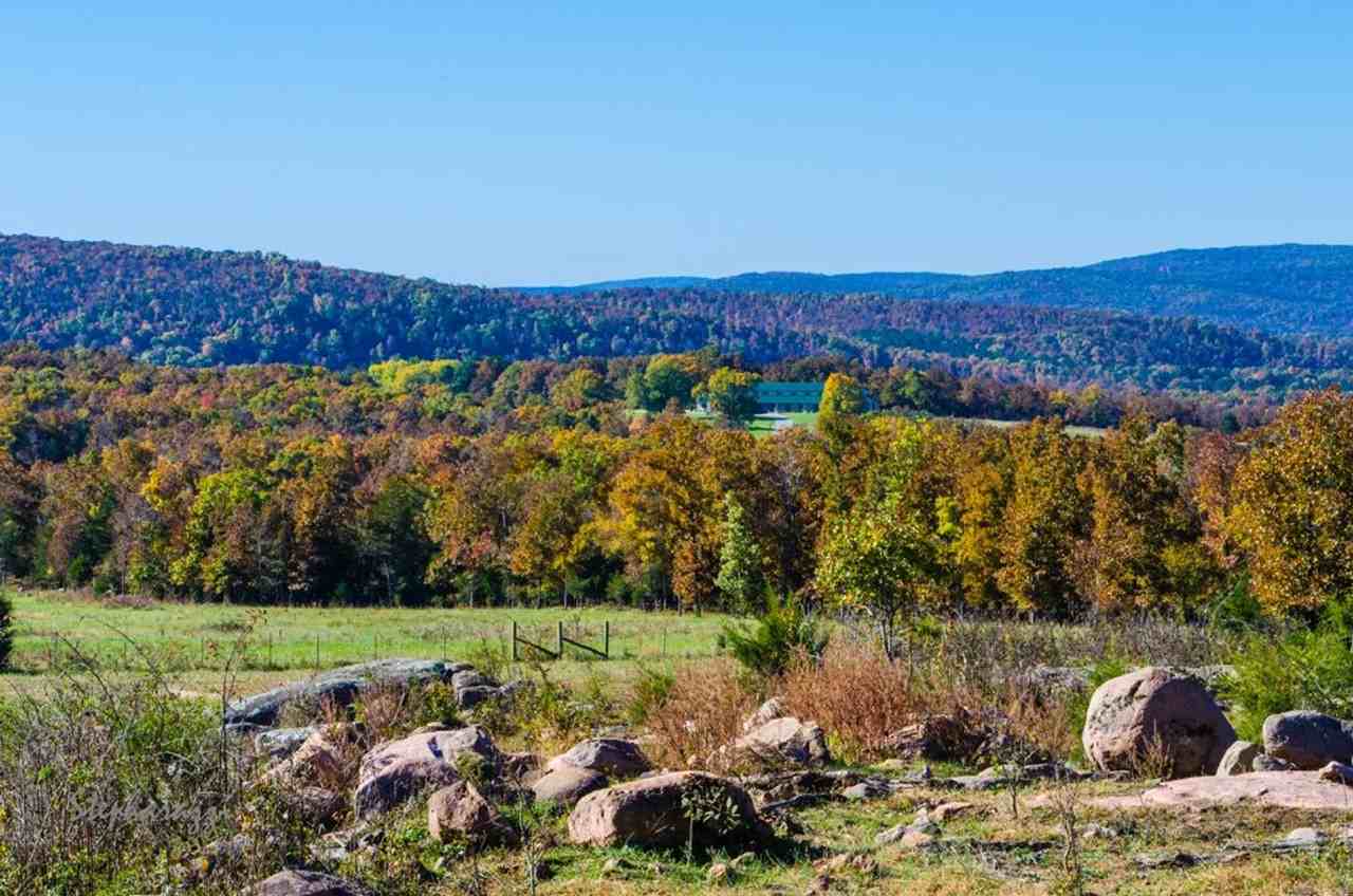 1011 Madison 512 - Photo 3 of 19