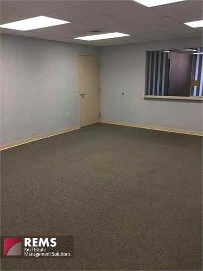 1115 West Pleasant Street - Photo 7 of 50