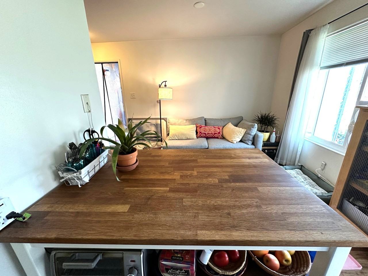 4888 Clayton Road - Photo 2 of 19