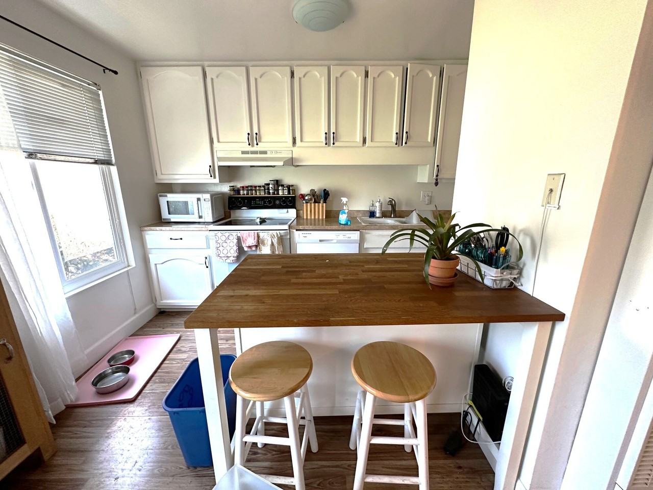 4888 Clayton Road - Photo 3 of 19