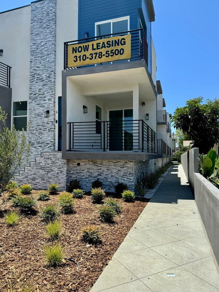 Eucalyptus - Photo 3 of 50