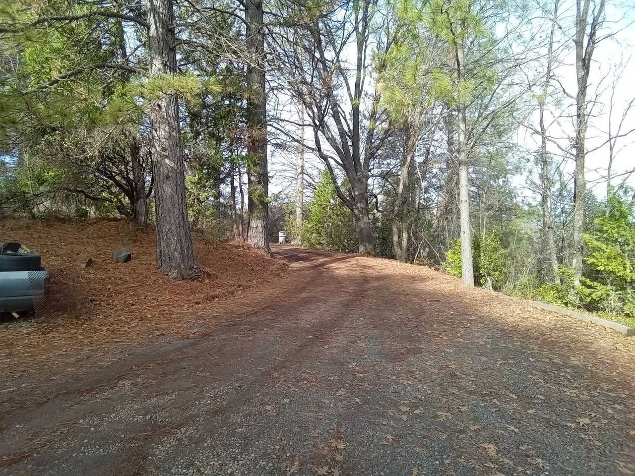 331 Black Bart Rd - Photo 3 of 3