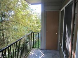 featured image of 206 Teresa Way