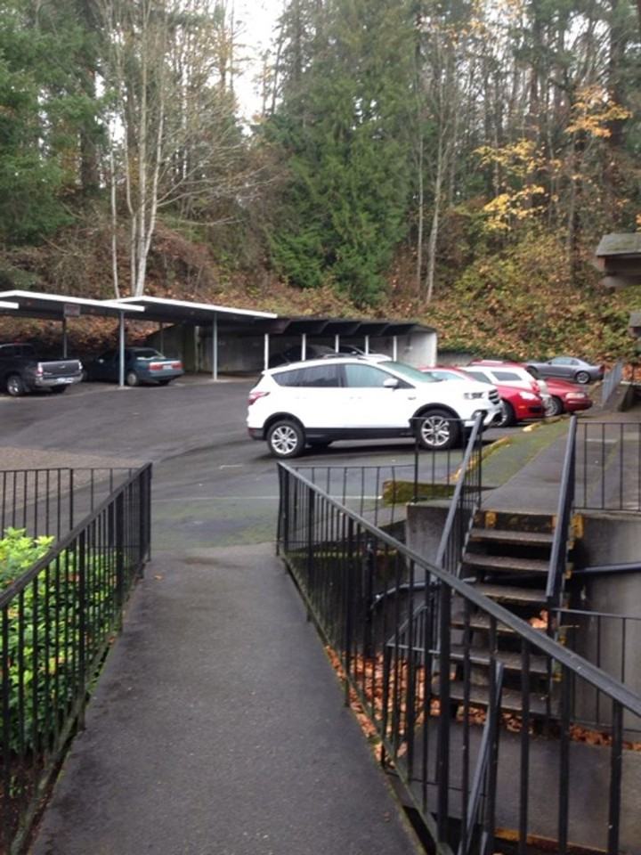 206 Teresa Way/Elliott Heights - Photo 6 of 41