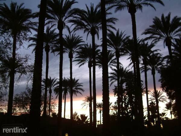 Palma Viva - Photo 2 of 11