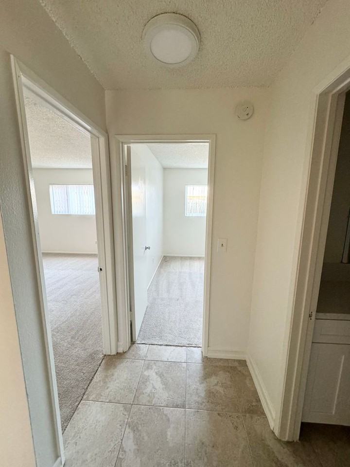 Madison - Photo 7 of 14