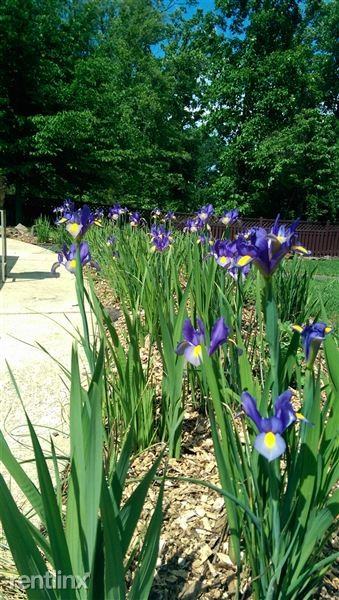 Catharpin Rd. & Sudley Rd. Apartments Sudley Rd, Gainesville, VA