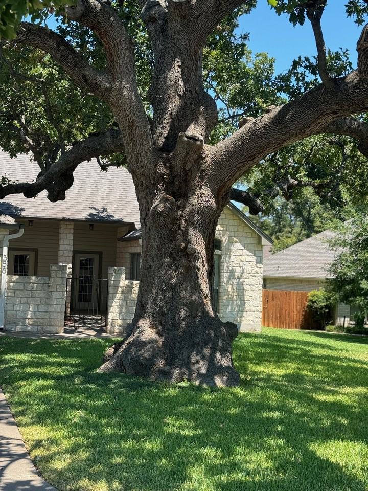 358 Mahan St #NA - Photo 2 of 8