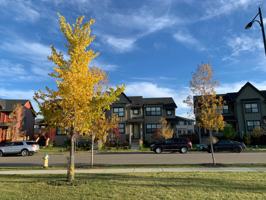 featured image of 5177 Chappelle Road Southwest