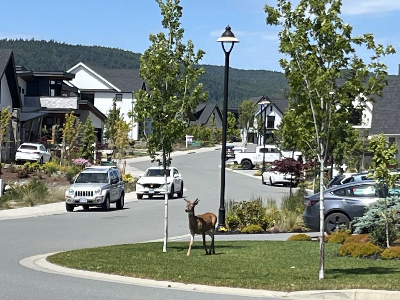 1999 Country Club Way - Photo 3 of 34