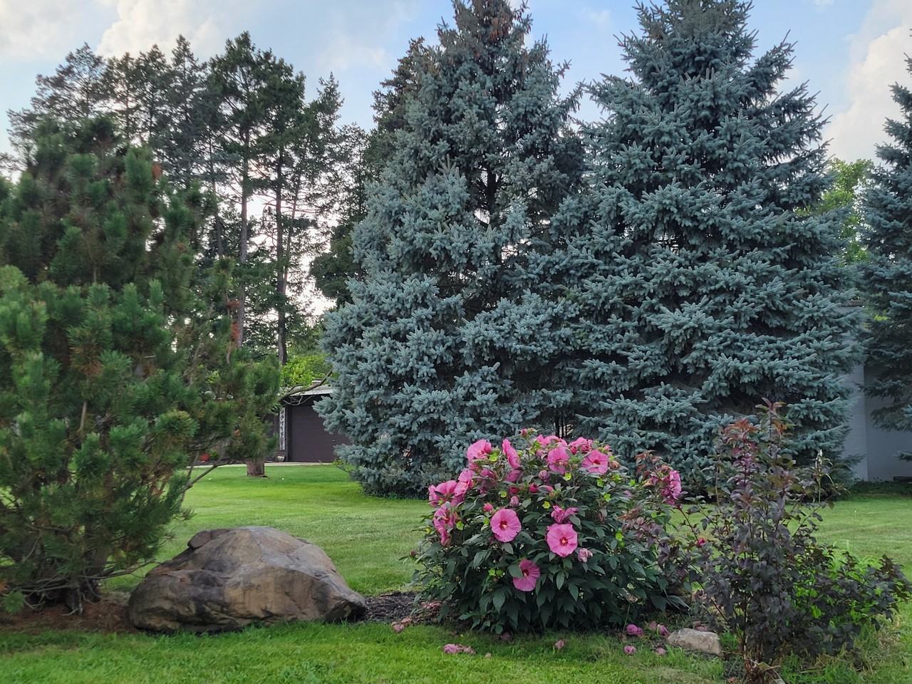 1633 Southlawn Pl #NA - Photo 4 of 25