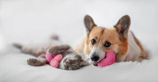 Velo Residential 3 of 4