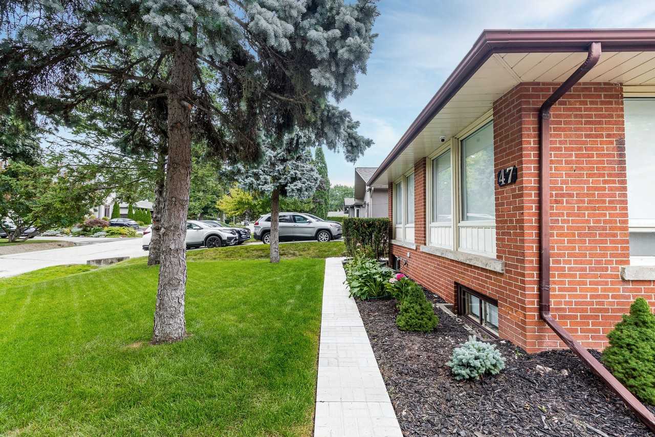 47 Abinger Crescent #Bsmt - Photo 3 of 23