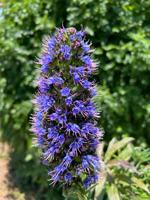 featured image of 25147 Jack Rabbit Acres