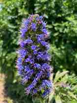 25147 Jack Rabbit Acres - Photo 1 of 1