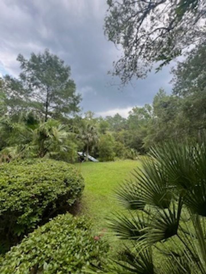 135 Seminole Ln - Photo 3 of 11