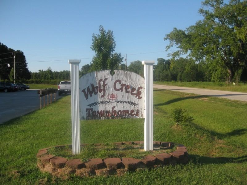 Wolf Creek Ln - Photo 3 of 34