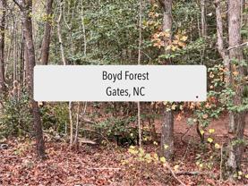 Boyd Forest - Photo 1 of 1