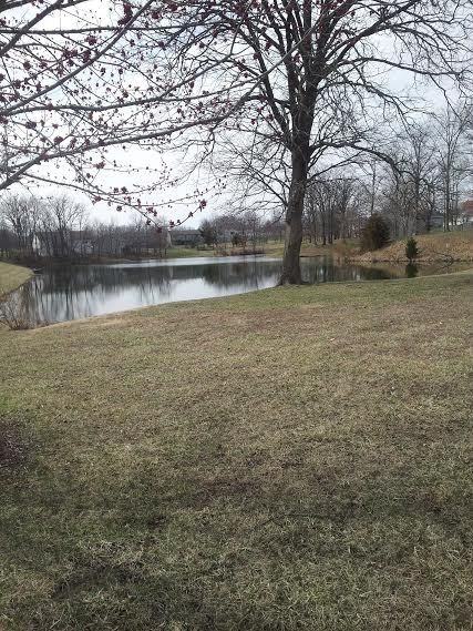 5205 Gasconade Dr - Photo 7 of 31