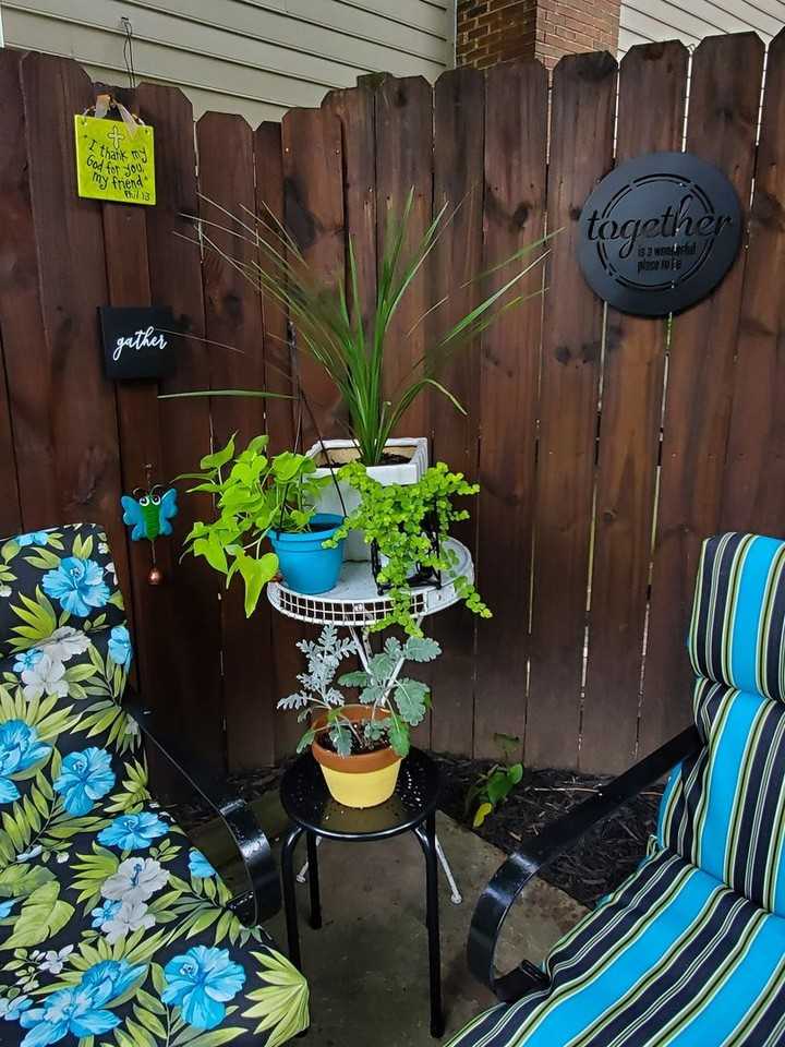 4313 Morington Ln - Photo 6 of 9