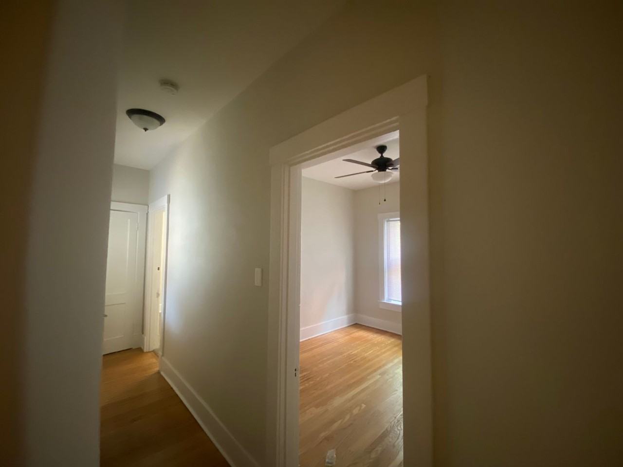 410 - Photo 4 of 18