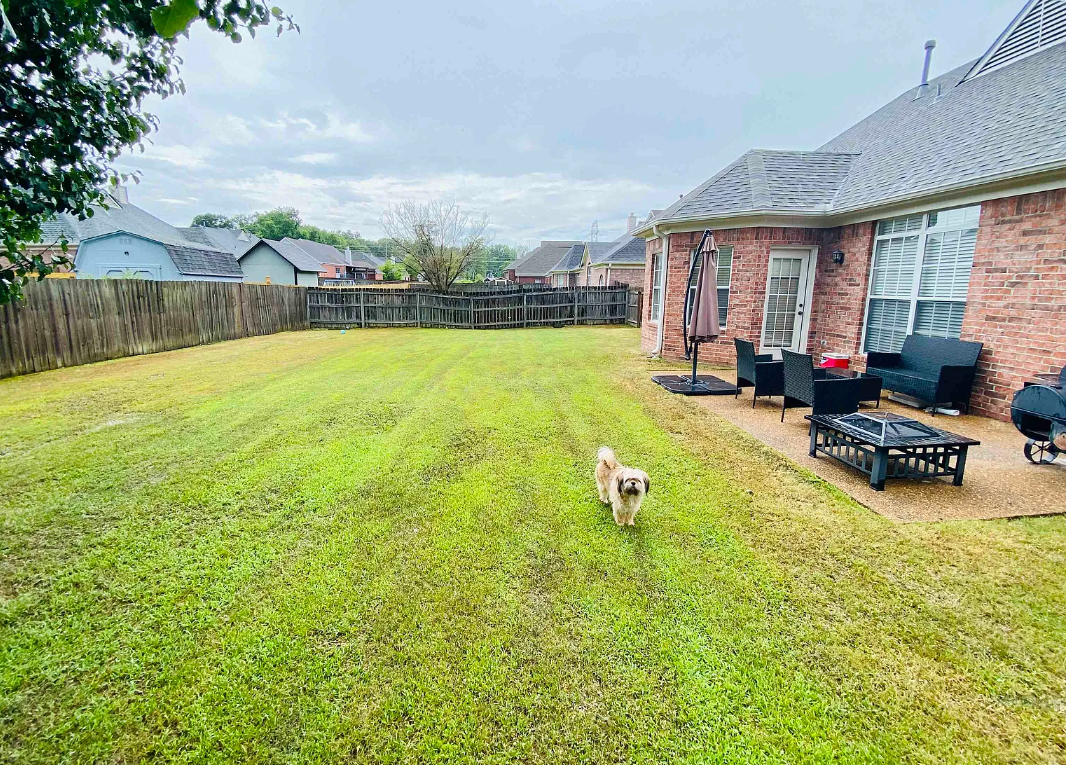 8151 Short Grass Cv - Photo 3 of 25