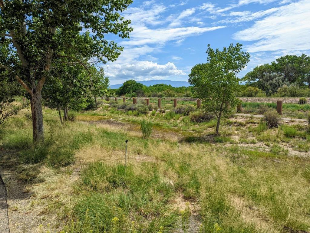 3500 Yipee Calle Ct Nw - Photo 2 of 46