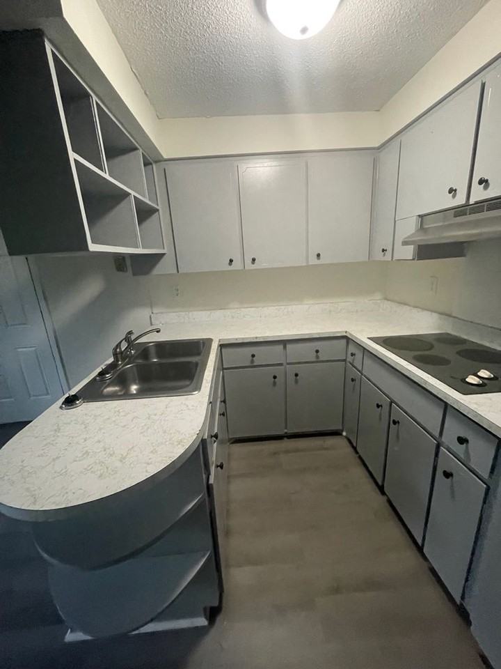 1464 Richmond Ave - Photo 4 of 13