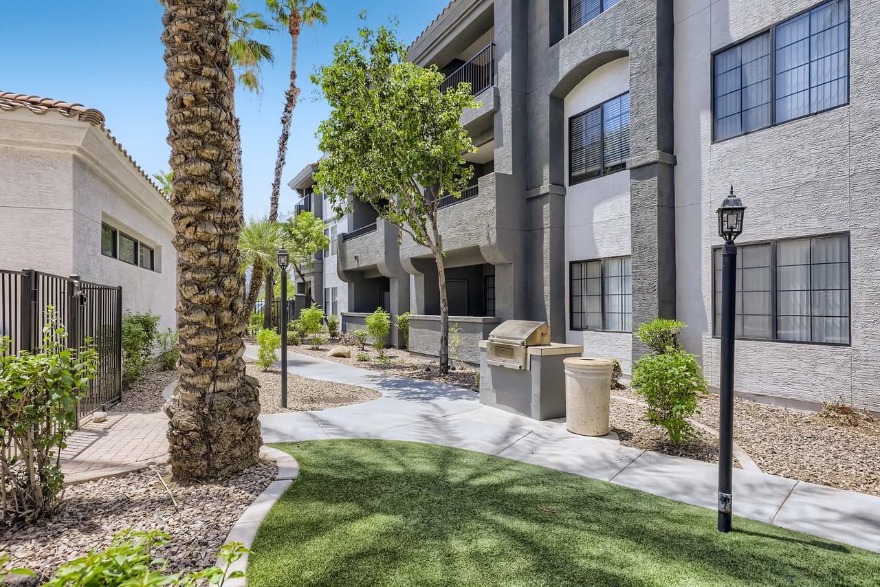 Mandarina - Photo 7 of 50