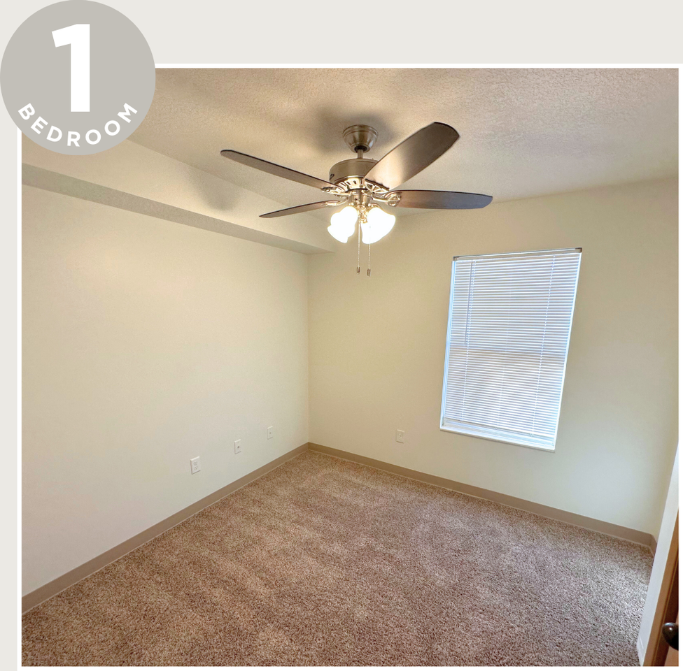 The Meadows - Photo 5 of 32