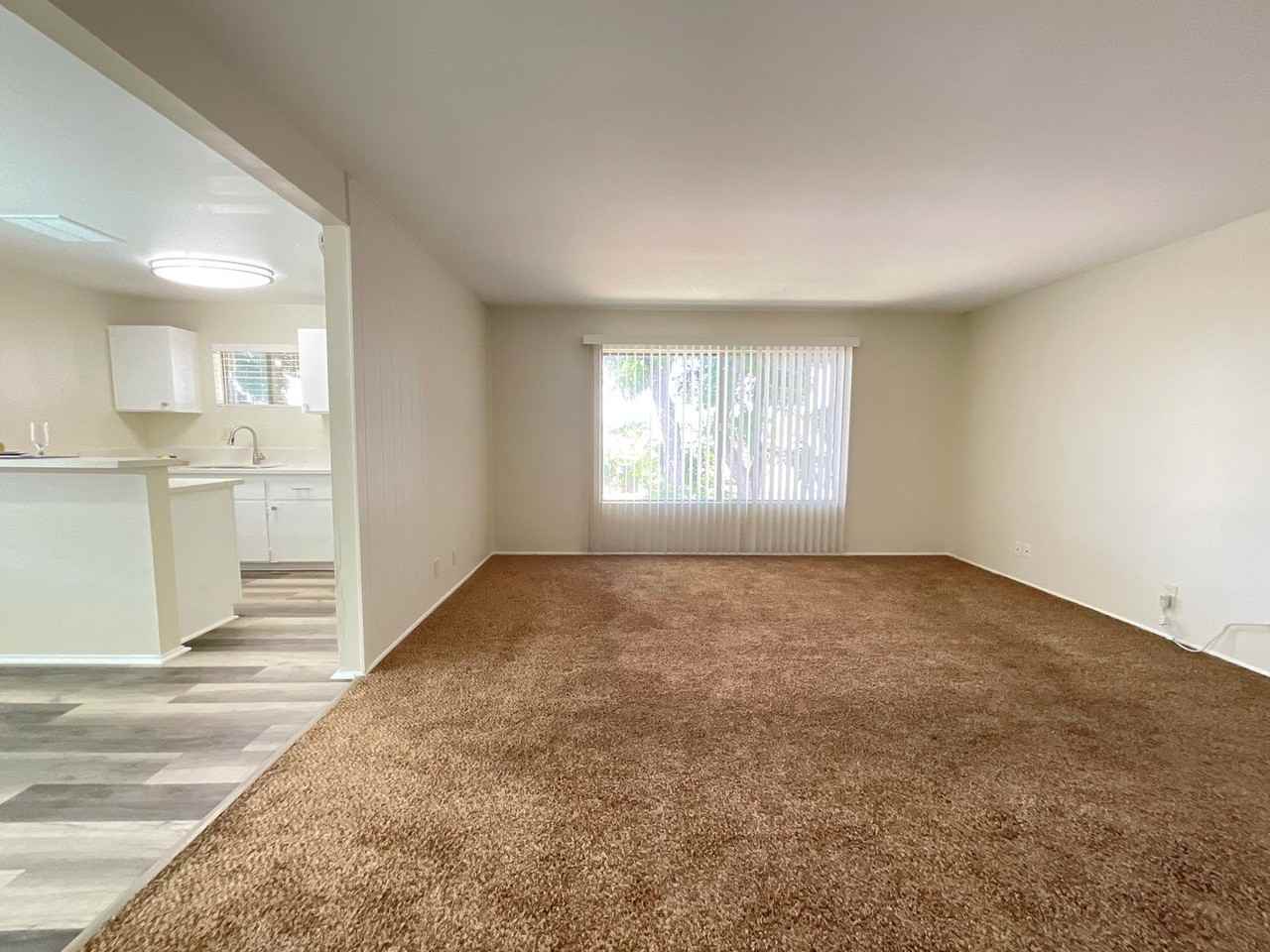 2254 W Colchester Dr - Photo 4 of 19