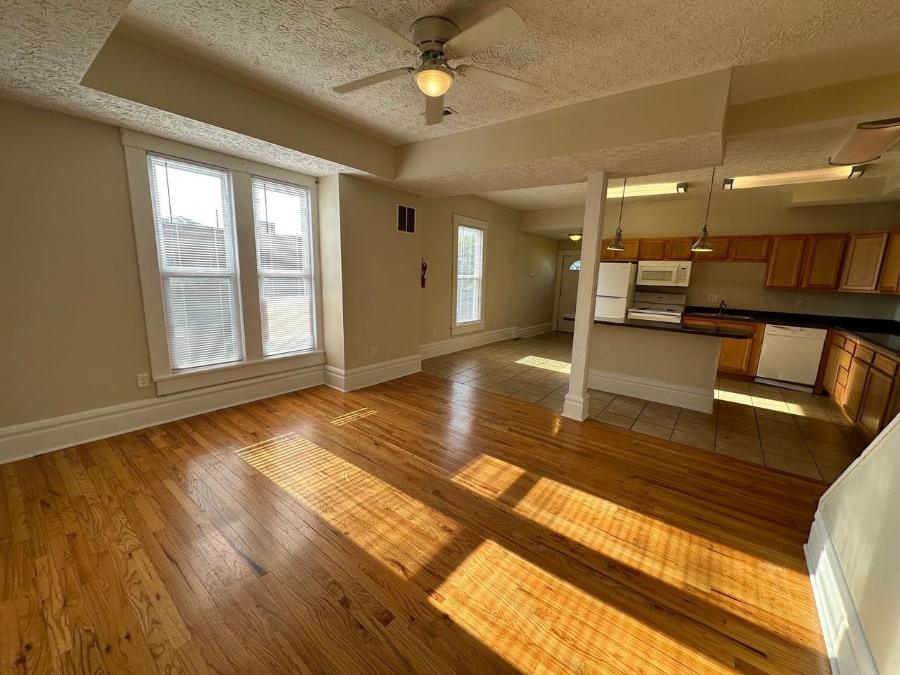 265 E 11th Ave - Photo 6 of 16