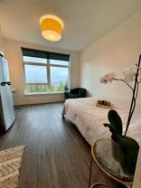 1554 Market St - Photo 1 of 1