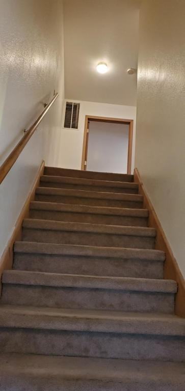 1402 W Frosty Dr - Photo 7 of 16