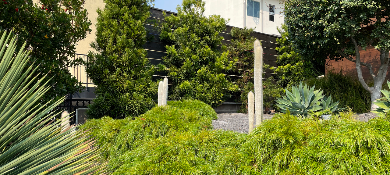 919 Ensenada Ave - Photo 3 of 28