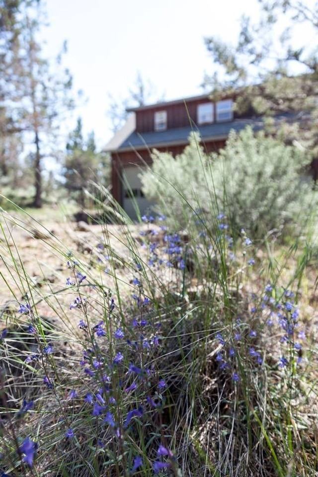 63737 O.B. Riley Rd - Photo 2 of 13