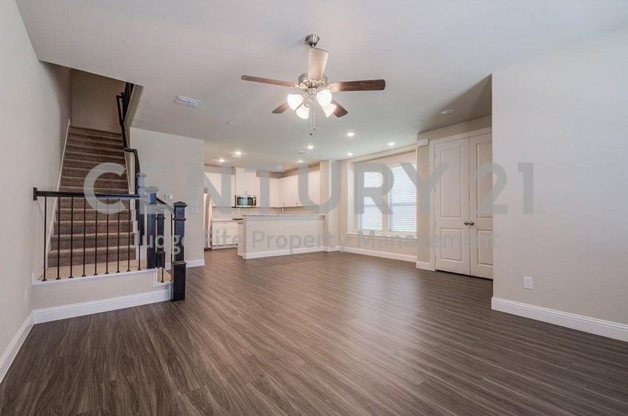 4720 Piedras Lanzar Dr - Photo 4 of 19
