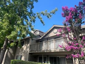 2407 Jubilee Ln - Photo 1 of 1
