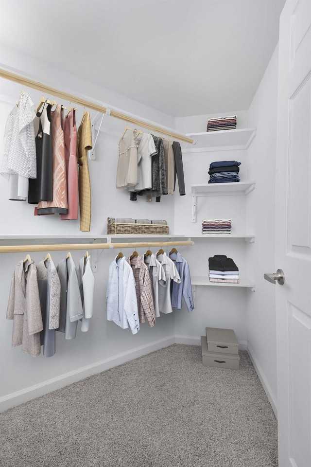 Camden Dunwoody - Photo 6 of 40